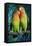 Peach-Faced Lovebirds Hybrid-Andrey Zvoznikov-Framed Stretched Canvas