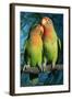 Peach-Faced Lovebirds Hybrid-Andrey Zvoznikov-Framed Photographic Print