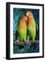 Peach-Faced Lovebirds Hybrid-Andrey Zvoznikov-Framed Photographic Print