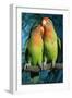 Peach-Faced Lovebirds Hybrid-Andrey Zvoznikov-Framed Photographic Print