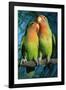 Peach-Faced Lovebirds Hybrid-Andrey Zvoznikov-Framed Photographic Print