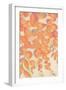 Peach Floral Cascade-Jacob Q-Framed Art Print