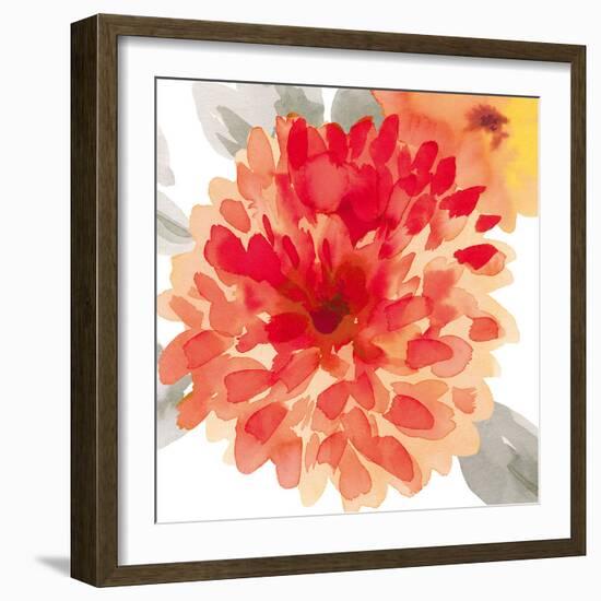 Peach Flower I-Sandra Jacobs-Framed Giclee Print