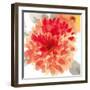 Peach Flower I-Sandra Jacobs-Framed Giclee Print