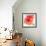 Peach Flower I-Sandra Jacobs-Framed Giclee Print displayed on a wall