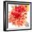 Peach Flower I-Sandra Jacobs-Framed Giclee Print