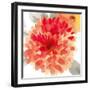 Peach Flower I-Sandra Jacobs-Framed Giclee Print