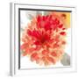 Peach Flower I-Sandra Jacobs-Framed Giclee Print