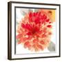 Peach Flower I-Sandra Jacobs-Framed Giclee Print