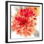 Peach Flower I-Sandra Jacobs-Framed Giclee Print