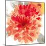 Peach Flower I-Sandra Jacobs-Mounted Giclee Print