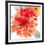 Peach Flower I-Sandra Jacobs-Framed Giclee Print