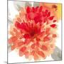 Peach Flower I-Sandra Jacobs-Mounted Giclee Print