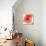 Peach Flower I-Sandra Jacobs-Stretched Canvas displayed on a wall