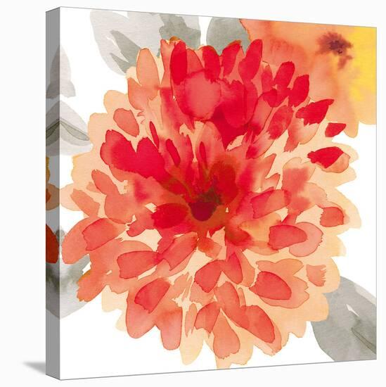 Peach Flower I-Sandra Jacobs-Stretched Canvas