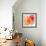 Peach Flower II-Sandra Jacobs-Framed Giclee Print displayed on a wall