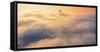 Peach Fog - Oakland East Bay Bridge San Francisco Bay-Vincent James-Framed Stretched Canvas