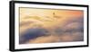 Peach Fog - Oakland East Bay Bridge San Francisco Bay-Vincent James-Framed Photographic Print