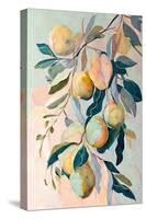 Peach Fruit Branch-Avril Anouilh-Stretched Canvas