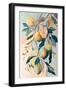 Peach Fruit Branch-Avril Anouilh-Framed Art Print