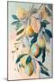 Peach Fruit Branch-Avril Anouilh-Mounted Art Print