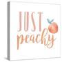 Peach Life I-Studio W-Stretched Canvas