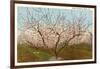 Peach Orchard, Perry, Georgia-null-Framed Art Print