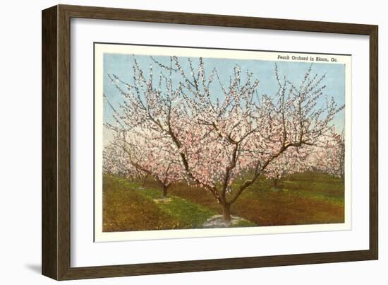 Peach Orchard, Perry, Georgia-null-Framed Art Print