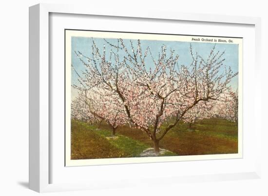 Peach Orchard, Perry, Georgia-null-Framed Art Print