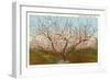 Peach Orchard, Perry, Georgia-null-Framed Art Print