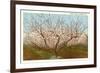 Peach Orchard, Perry, Georgia-null-Framed Premium Giclee Print