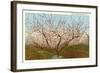 Peach Orchard, Perry, Georgia-null-Framed Art Print