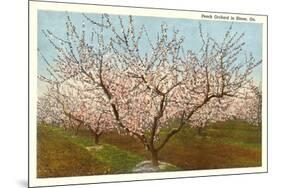 Peach Orchard, Perry, Georgia-null-Mounted Art Print