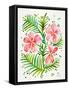 Peach Orchid Bunch-Cat Coquillette-Framed Stretched Canvas
