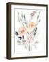 Peach & Paynes Bouquet II-Jennifer Goldberger-Framed Art Print