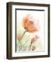 Peach Pink Flower Left-Patti Bishop-Framed Art Print