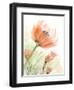 Peach Pink Flower Left-Patti Bishop-Framed Art Print