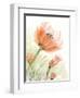 Peach Pink Flower Left-Patti Bishop-Framed Art Print