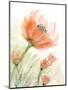 Peach Pink Flower Left-Patti Bishop-Mounted Art Print