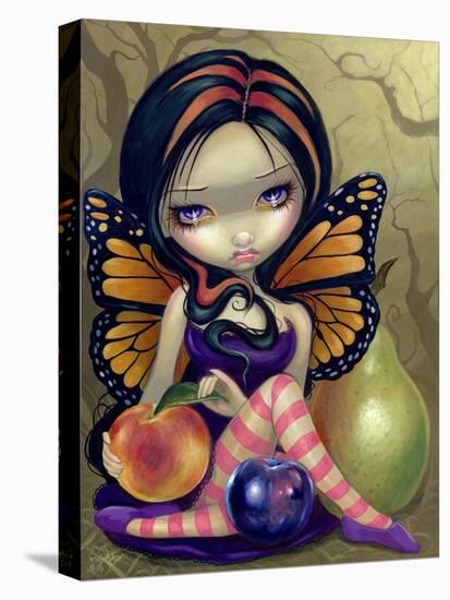 Peach, Plum, Pear-Jasmine Becket-Griffith-Stretched Canvas