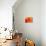 Peach Rose-David Papazian-Stretched Canvas displayed on a wall