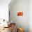 Peach Rose-David Papazian-Mounted Photographic Print displayed on a wall