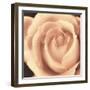Peach Rose-Mindy Sommers-Framed Giclee Print