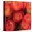 Peach Roses-Dan Meneely-Stretched Canvas