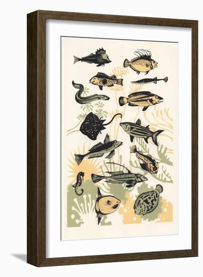 Peach Seaweed Fish, 2015-Eliza Southwood-Framed Giclee Print