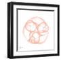 Peach Snail Shell-Albert Koetsier-Framed Art Print