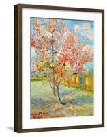 Peach Tree in Bloom at Arles, c.1888-Vincent van Gogh-Framed Giclee Print