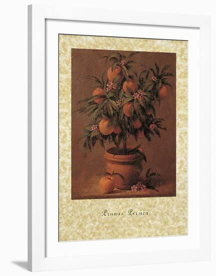 Peach Tree-Joaquin Moragues-Framed Art Print