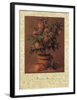 Peach Tree-Joaquin Moragues-Framed Art Print