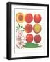 Peach-null-Framed Art Print